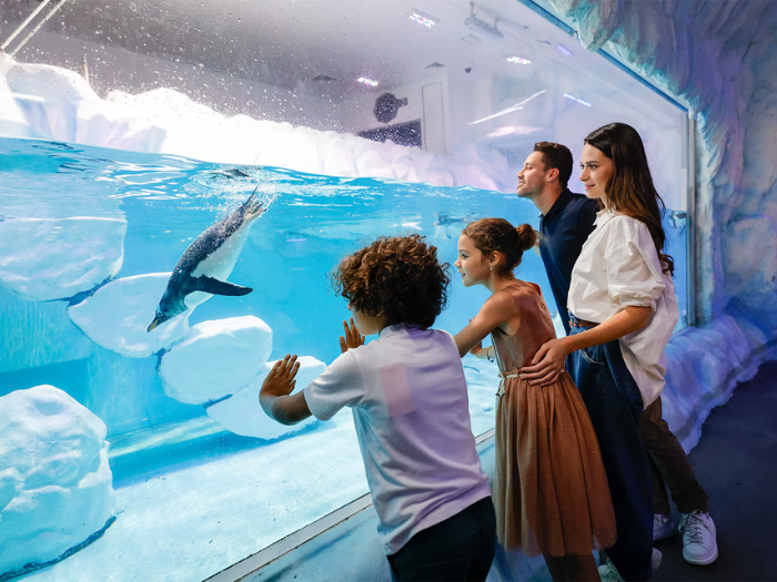 Wedding Dresses Dubai Prices